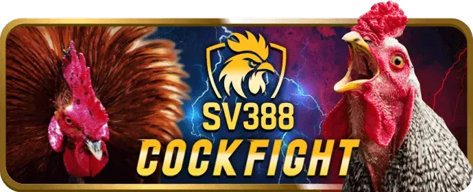 Công nghệ và đổi mới tại bl555 code